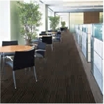 Suminoe日本住江方塊地毯