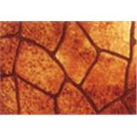 紙模鏤花地坪 , 仕峰建材實業有限公司