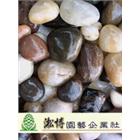 淞博園藝企業有限公司,七厘石