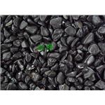 黑耀石-淞博園藝企業有限公司