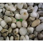 白卵石-淞博園藝企業有限公司