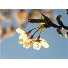 鈺里室內裝修工程行,磁磚,石磁磚,進口精品磁磚,磁磚檢查