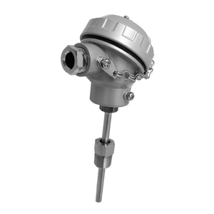 熱電偶 (耐候型)  TC , 昶特有限公司