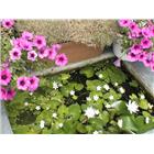 上全企業社,pvc快速捲門,防火捲門,不銹鋼捲門,pvc管