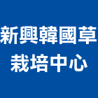 新興韓國草栽培中心,假儉草