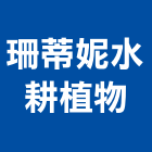 珊蒂妮水耕植物有限公司,盆栽,室內盆栽